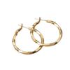 2025 Women's Möbius Hoop Earrings: Light Luxury & Nordic Retro Style