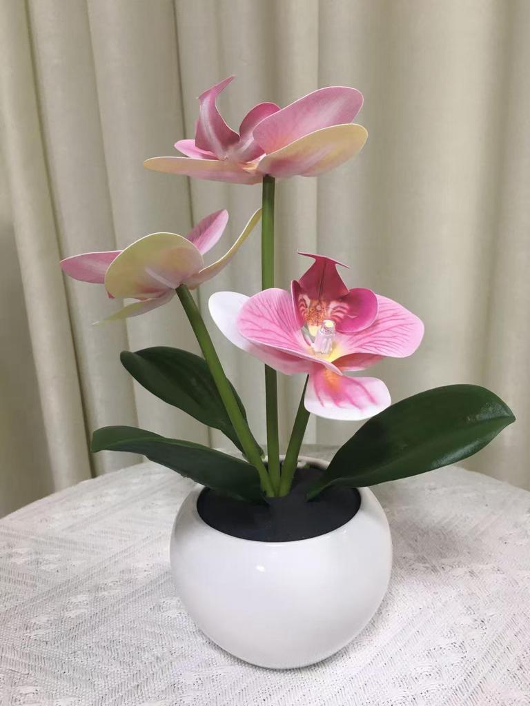 Elegant Tulip Night Light: High-End Decorative Bedside Lamp for Bedroom Ambiance