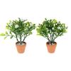 Miniature White Flower Green Plant Potted Ornament Dollhouse Mini Bonsai Model Decoration Micro Scene Layout Pography Props