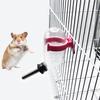 Leakproof Hamster Water Dispenser 60ML Hamster Rolling Ball Kettle For Rabbit Hamster Squirrel