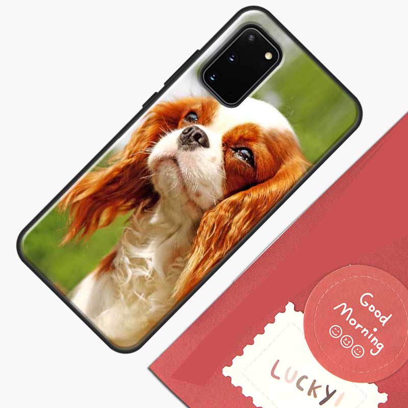 Cavalier King Charles Spaniel Dog Phone Case For Samsung Galaxy S26 S25 Ultra S20 S21 S22 S23 S24 S10 Plus S25 FE Cover Shell