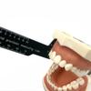 1Pc Dental Lab Multifunction Ruler for Aesthetic Crown Bridge Design Prosthodontic Measurement Multi-Window Scale Instrument