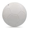 White PVC DIY Signature Football
