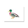 Toucan Watercolor Tropical Rain Forest  Wall Art Canvas Painting Nordic Toucan Posters And Print Picture Living Room Home Decor