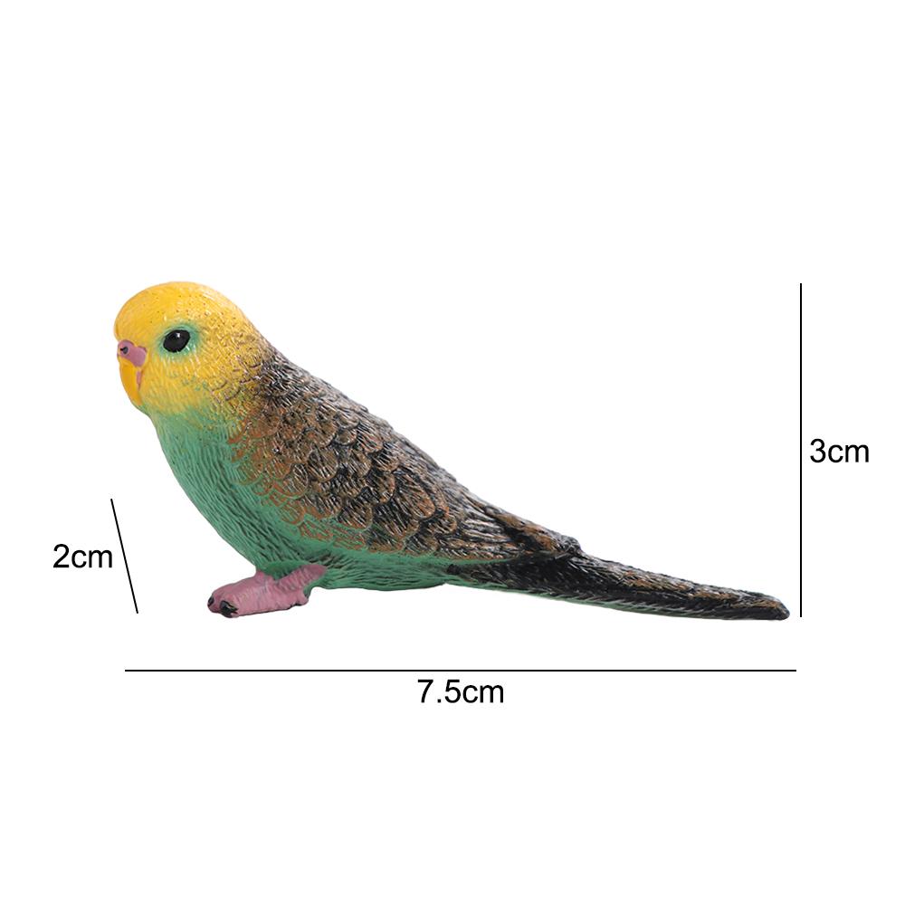 Educational Simulated Budgie Parrot Plastic Budgerigar Toy Collectible Bird Figurines  Kids Room