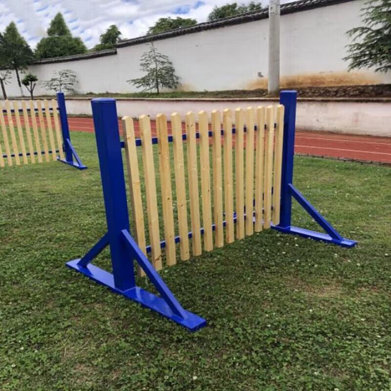 ZLIII Dog Training Fence