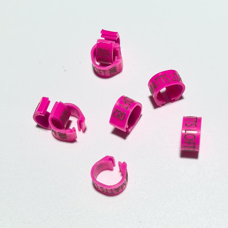 Personalisierte 100 Stück Innendurchmesser 8mm Kunststoff Taubenringe - Kundenspezifische Lasergravur, Taubenfußringe