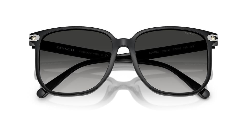 Sunglasses 0HC8413BD BLACK 58 [Coach]