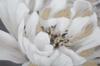Handmade Wall Painting White Gold Flower Cm 80X3,7X100