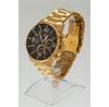 Часы TIMEMASTER 229/01