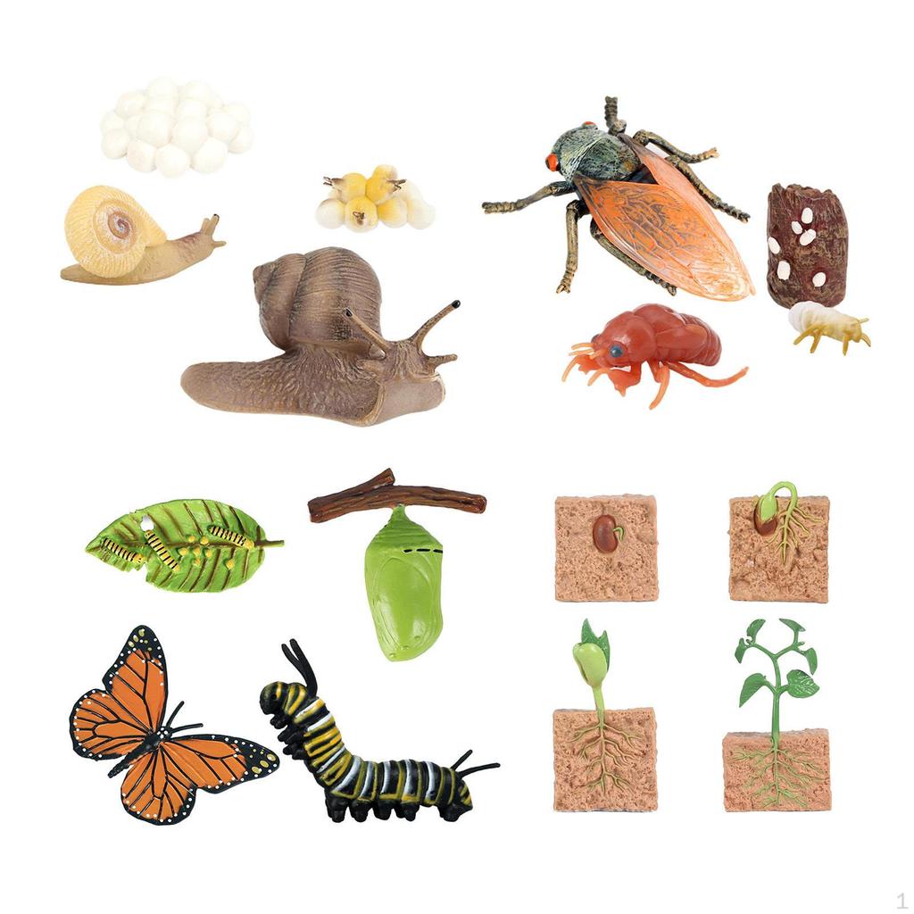 The World of Nature with Interactive STEM Toy Set