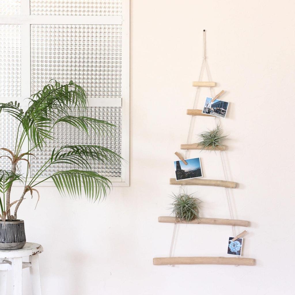 SPICE OF LIFE Tree Wide x High Natural FXXF3143 Driftwood-Style Wall-Mounted Ladder, Large, 17.5" 35.2" (including string), Wood,