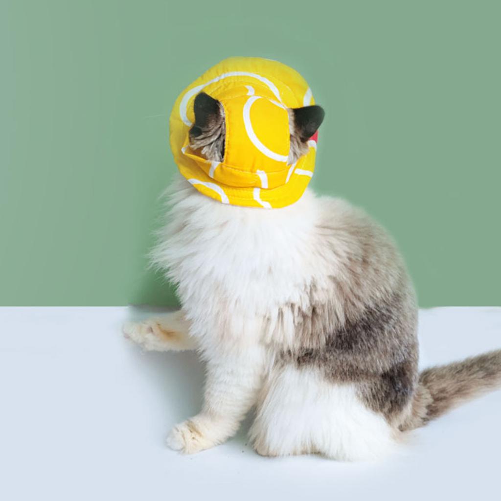 Welpen Sonnenhaube Zubehör Bucket Hat mit Ohrenlöchern Riemen Outdoor Hut Kopfbedeckung Outdoor Fischerhut Foto Requisiten