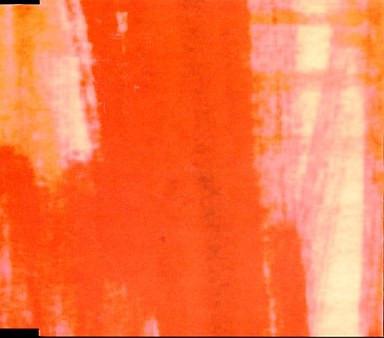 CD ZUBONS; DON - Hot Love(edit)  TOCT4160 Virgin 1999 Japan Rock Used