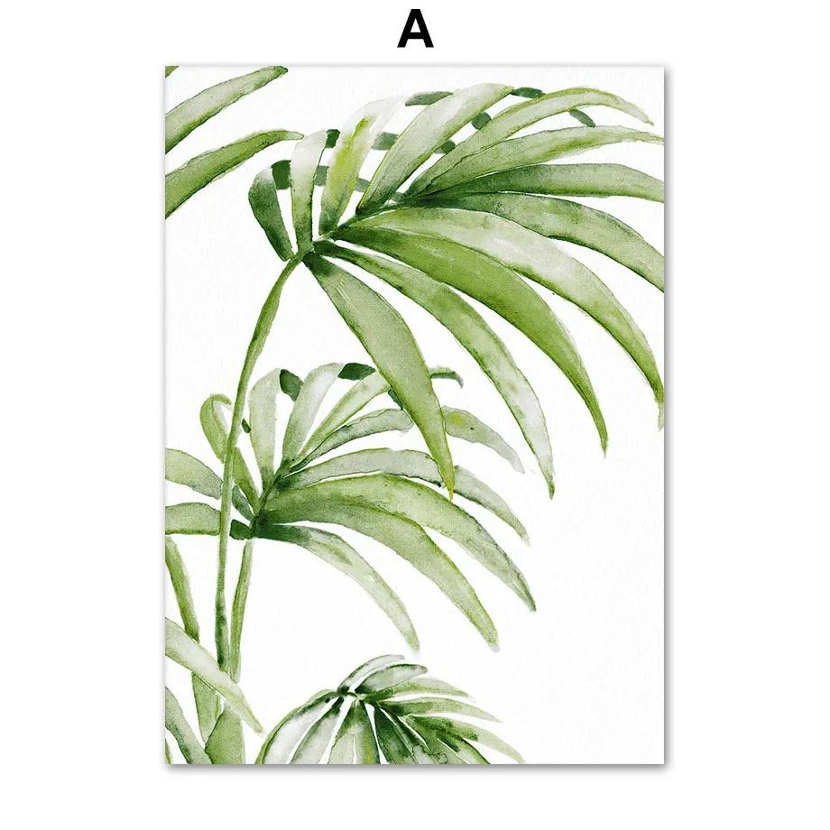 

Пальмовый лист, тропические листья, принт, холст, живопись, акварельные постеры, минималистичные настенные художественные фотографии, интерьер гостиной, домашний декор 21X30cm No Frame