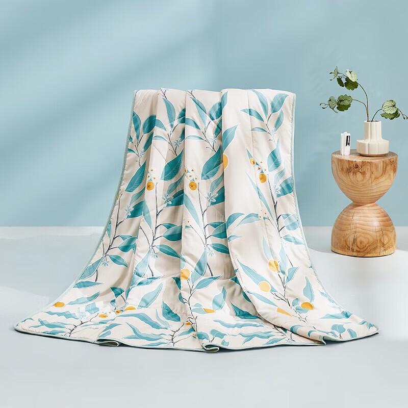 Luolai Super Soft All-Season Quilt