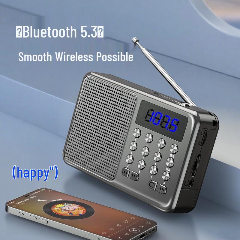 Portable Wireless Bluetooth Speaker with Radio & Card Slot for Seniors
