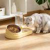 2-in-1 Pet Feeder Tilted Dog Food Bowl with 700ml Automatic Water Dispenser Stainless Steel Bowl Food And Water Feeder for Cats Dogs