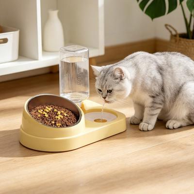 2-in-1 Pet Feeder Tilted Dog Food Bowl with 700ml Automatic Water Dispenser Stainless Steel Bowl Food And Water Feeder for Cats Dogs