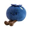 Portachiavi Ciondolo Peluche Cartone Animato Mirtillo con Cordino Zaini Forma Portachiavi Decorativo Borse Auto Portafogli Ciondolo