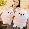 Adorable Pomeranian Plush Dog Toy Realistic Soft Cuddly Stuffed Animal Decoration