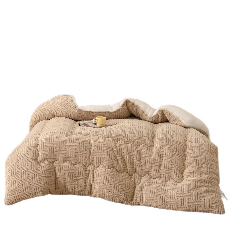 Brangdy Thickened Warm Lamb Wool Winter Quilt
