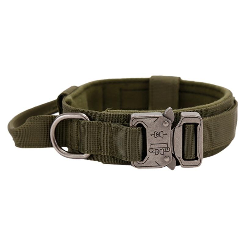 outdoors dog collars