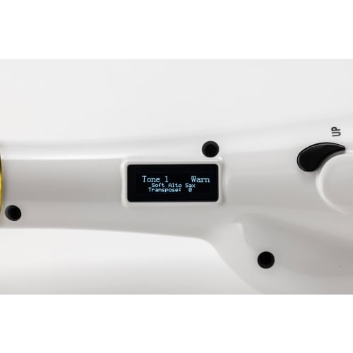 Elesa10 Electronic Saxophone with TAHORNG Wind Synthesizer ELS10BK (Black)