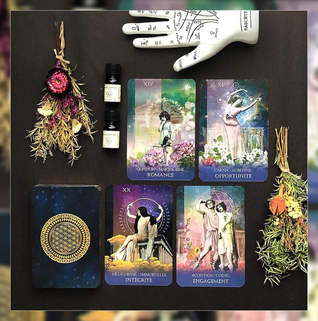 [Authentic] God's Plant Oracle [Oracle Card Meanings In Japanese] Tarot Fortune Telling