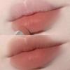 Samtmatte Lippenstifte Feuchtigkeitsspendend Nude Aprikose Lippen-Tint Nicht abfärbend Lipgloss Lippenstift Kosmetik Make-up Wasserdicht Langanhaltend