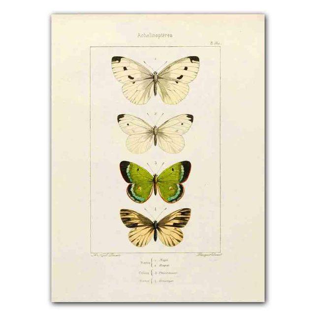 Nordic RETRO Art Canvas Painting Butterfly Insect Evolution Poster Living Room Corridor Wall Painting Home Decoration Mural No Frame