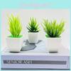 Plante Succulente Artificielle avec Artisanat en Plastique pour Décoration Intérieure et Usage de Bureau