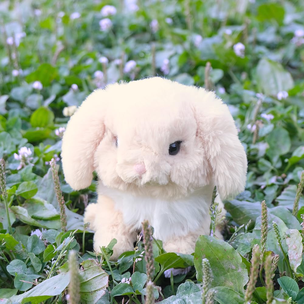Sun Lemon Lapinu Holland Lop Beige 13 X 16 X 15 Cm Stuffed Animal Rabbit P-8312