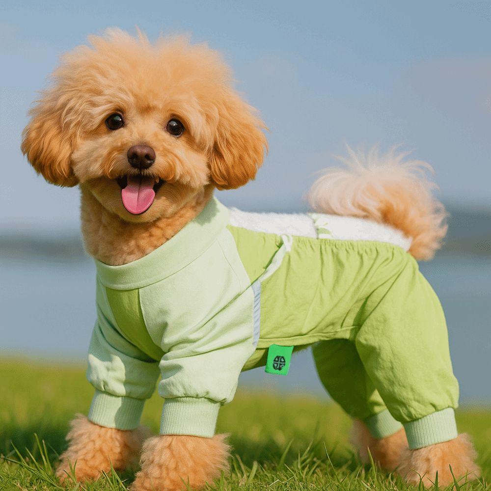 Hochelastische Hundebekleidung mit vier Beinen Atmungsaktiver Wasserdichter Hundeoverall Indoor