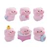 6Pcs/set Cartoon Shower Pig Miniatures Resin Animal Ornaments Moss Terrarium Micro Landscape Fairy Garden Decoration