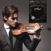 1 Set Zinc Zinc Alloy Violin Strings Nylon Nylon Violin Core A747 Violin String  Violin Enthusiasts