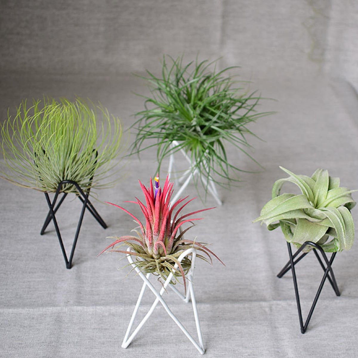 

1 шт. Подставка для растений случайного цвета, Минималистичная железная подставка для растений для дома и улицы