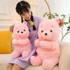 Cute Pink Teddy Bear Plush Toy For Birthday And Holiday Gifts Wholesale From Manufacturer