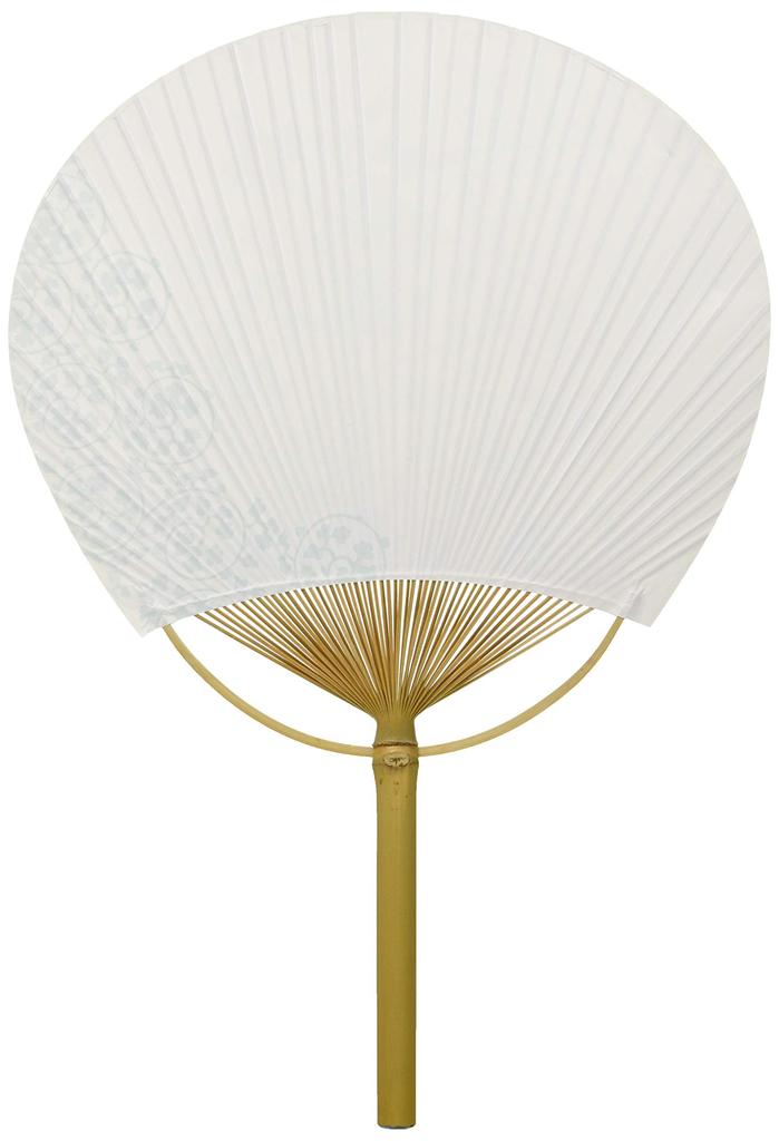 Shikoku Uchiwa by chrysanthemum approximately 28 x 41 (Japanese fan), unisex, Gen'emon Kiln, design, cm.
