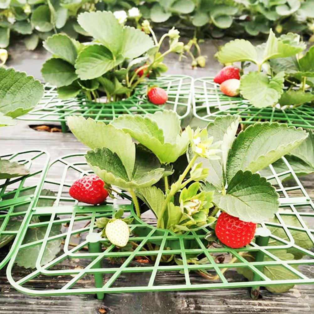 5/10Pcs Square Tray Strawberry Supports Plastic Green Strawberries Tomatoes Peppers Planting Racks Gardening Support Frame