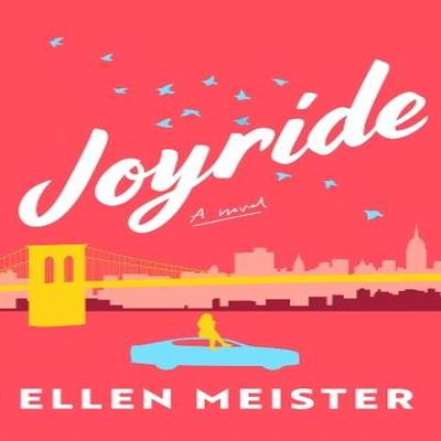 Joyride by Ellen Meister Paperback Book 9781662529108