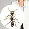 Ruan Hao Black & Yellow Two-Tone Drip Oil Ant Brooch – Versatile Unisex Insect Lapel Pin for Men & Women