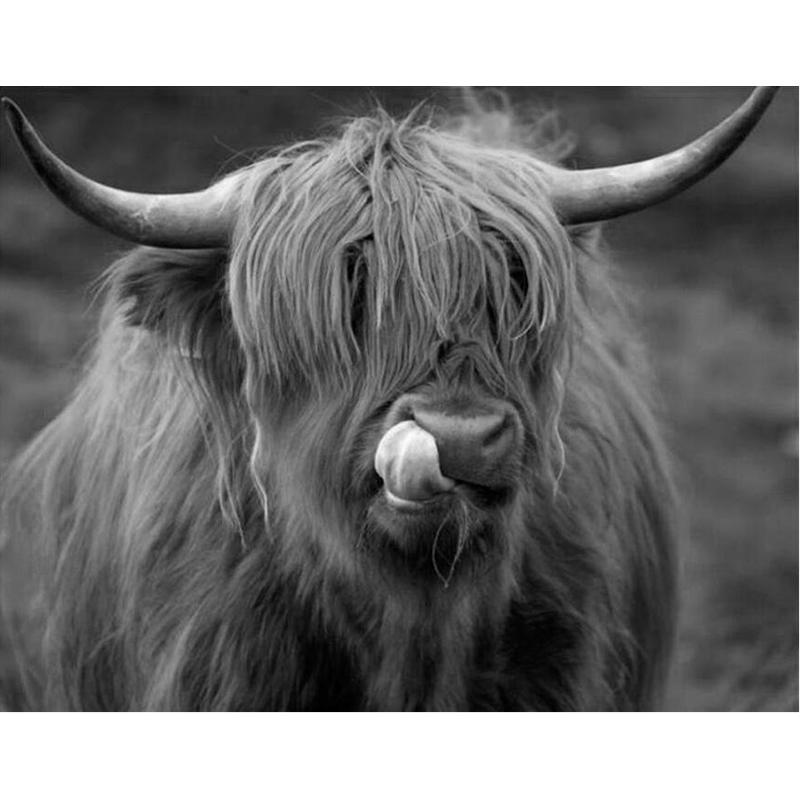 Highland Cow DIY 5D pictură cu diamante, mozaic, rotund complet, rășină, broderie cu diamante, seturi cu punct de cruce, decor acasă