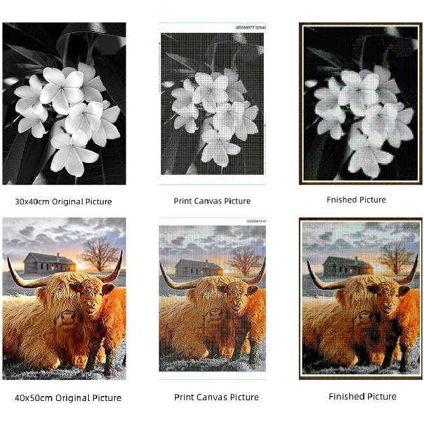 DIY 5D Diamond Art Painting Kits Black and White Abstract Kissing Couple Lover Full Drill Round Diamond Art Paint by Number Kits for Beginner Crystal