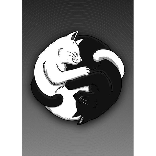 

Tai Chi Balance Black And White Cat Prints Poster Canvas Painting Modern Wall Art Pictures Living Room Bedroom Home Decoration 21x30cm No Framed