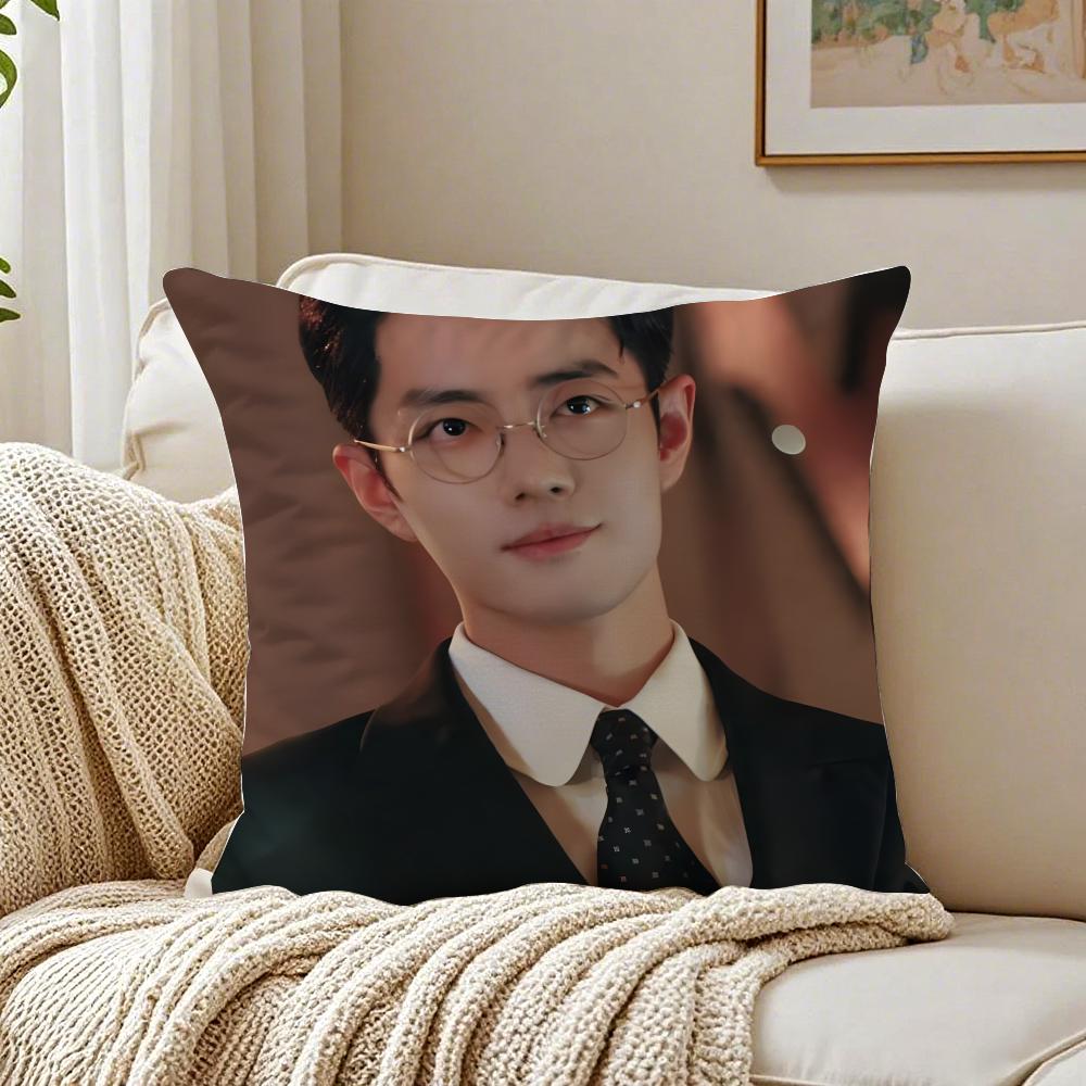 S-Sean Xiao Idol Fan Exclusive Cushion Cover Pillowcase Anti-Dustmite Living Room Sofa Decor Cushion Room