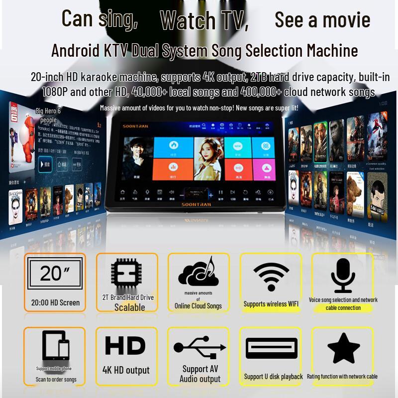 Songchuan International SP101 Home KTV Professional Audio System CN plug (adapter included)