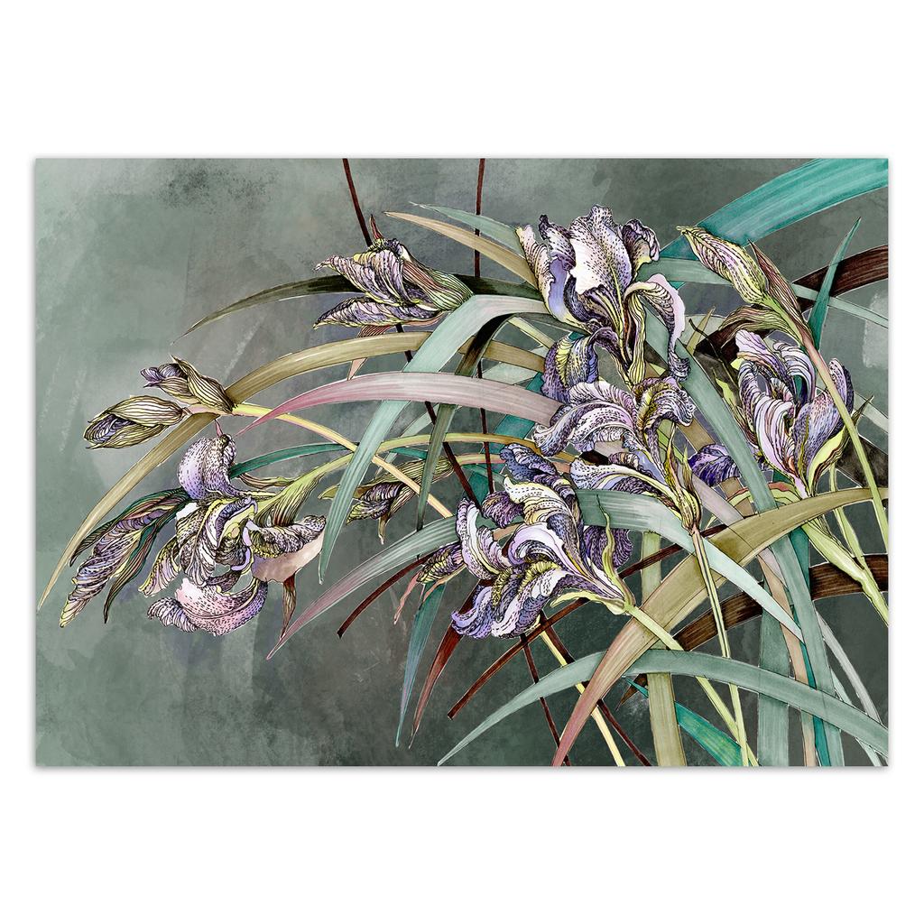 Hintergrundbild Irisblüten im Wind