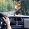 Accesorii pentru interiorul mașinii – Jucării auto şi decorațiuni