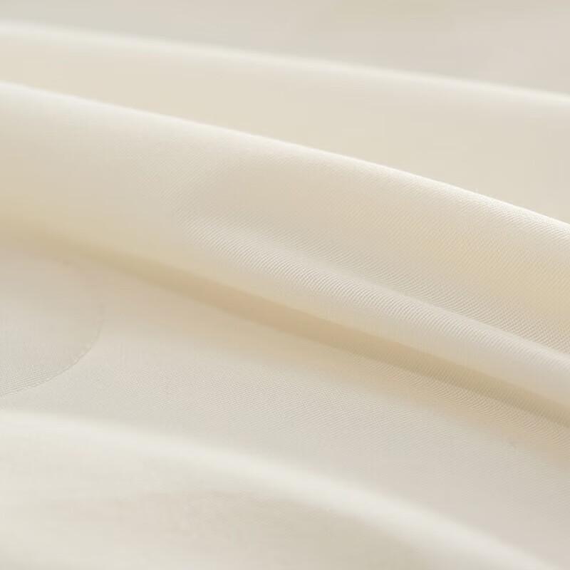 Mercury Home Textiles Warm Sunlight Mulberry Silk All-Season Quilt